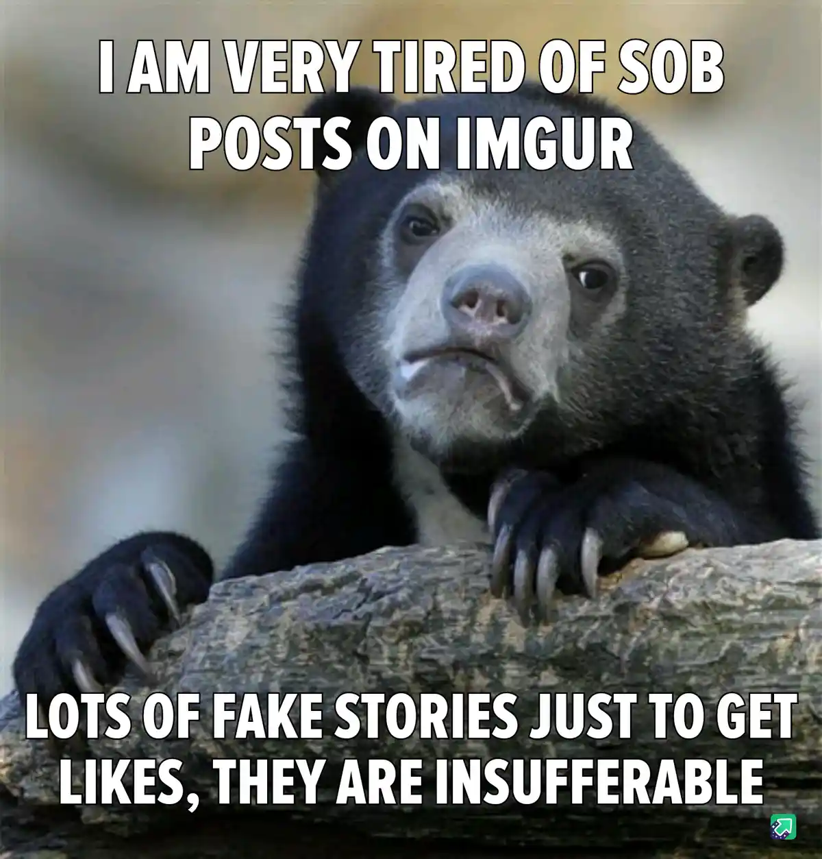 A close-up photo of a sloth bear with a weary, exasperated expression, resting its paws on a log. White bold text overlaid…