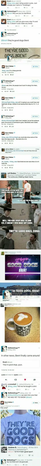 A collage of screenshots from a Twitter thread and memes featuring a dog rating service called WeRateDogs. The central joke…