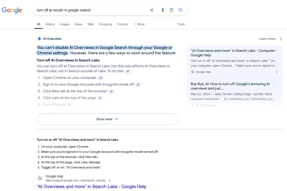 A screenshot of a Google search results page for 'turn off ai results in google search'. The top result under 'AI Overview'…