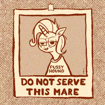 A cartoon pony with a unicorn horn and a smug expression wears a shirt that reads 'PUSSY HOUND'. The image is styled like a…