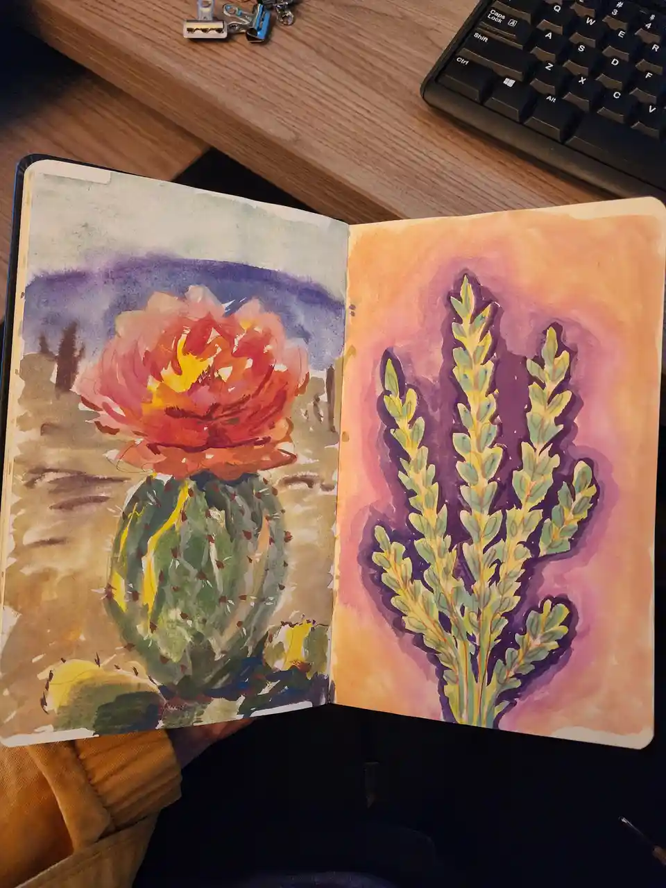 An open watercolor sketchbook on a wooden desk shows two vibrant plant drawings: a blooming cactus with a large orange-red…