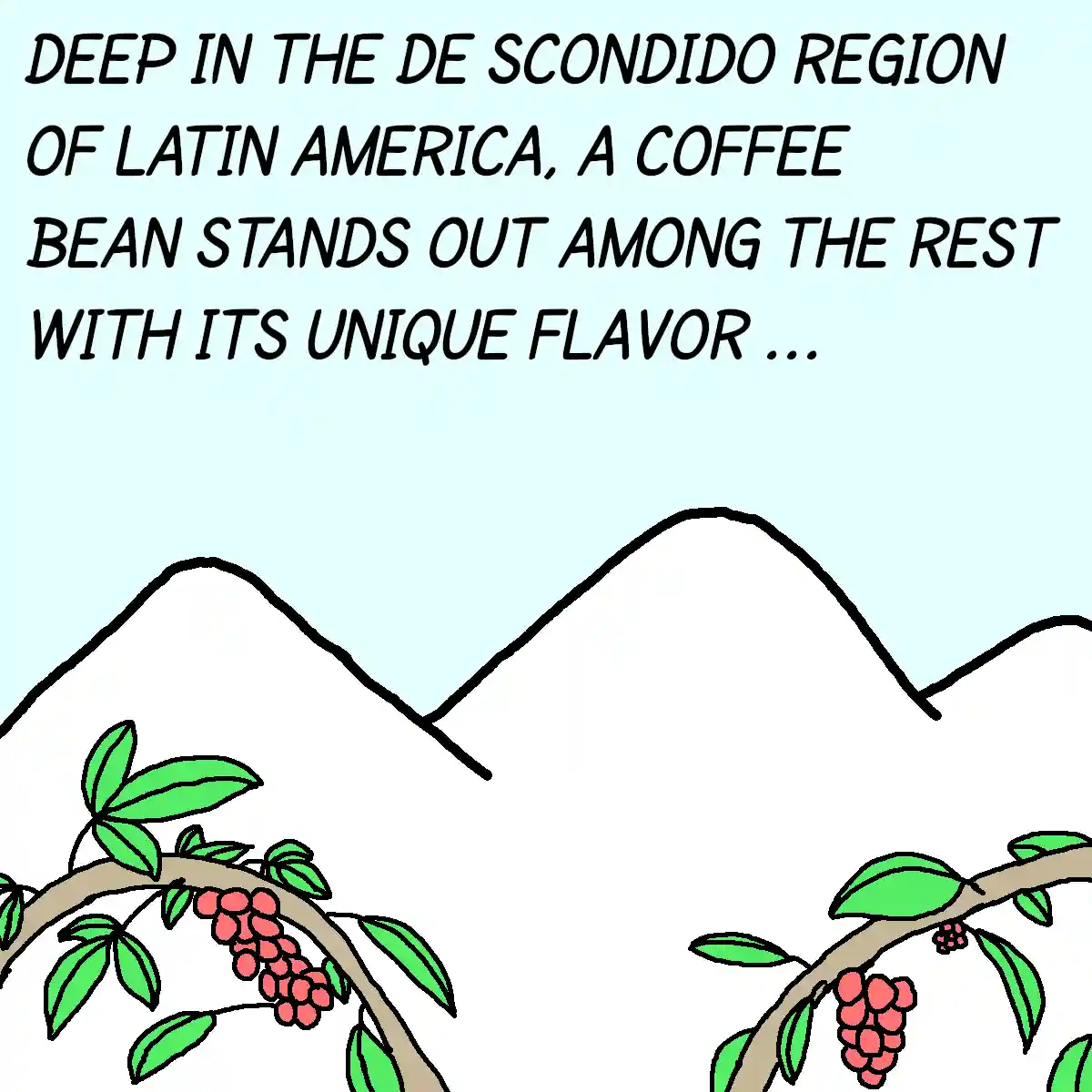 A simple cartoon drawing shows coffee cherries on branches against a backdrop of stylized mountains. The text at the top…