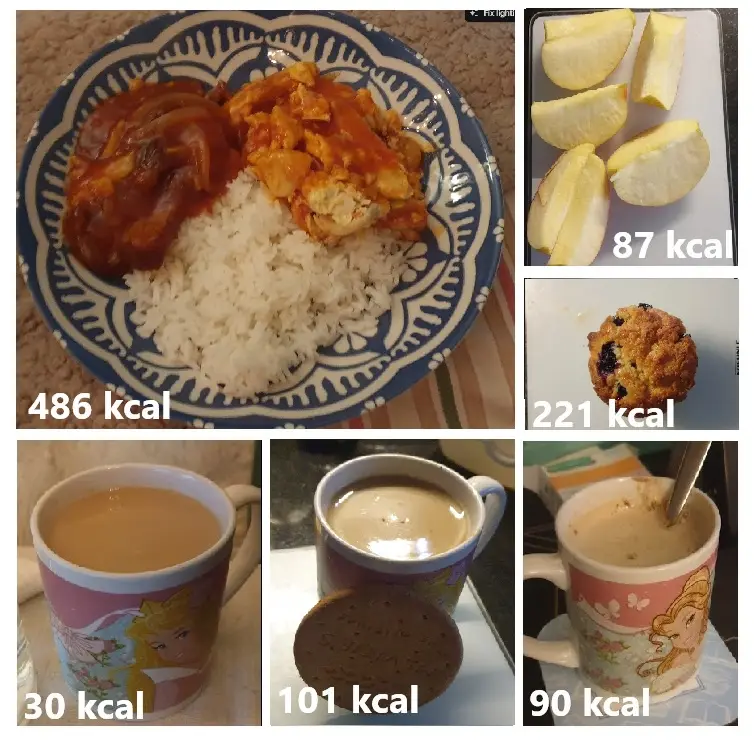A collage of six food items with their calorie counts overlaid: a plate of rice, meat, and sauce (486 kcal), sliced fruit…