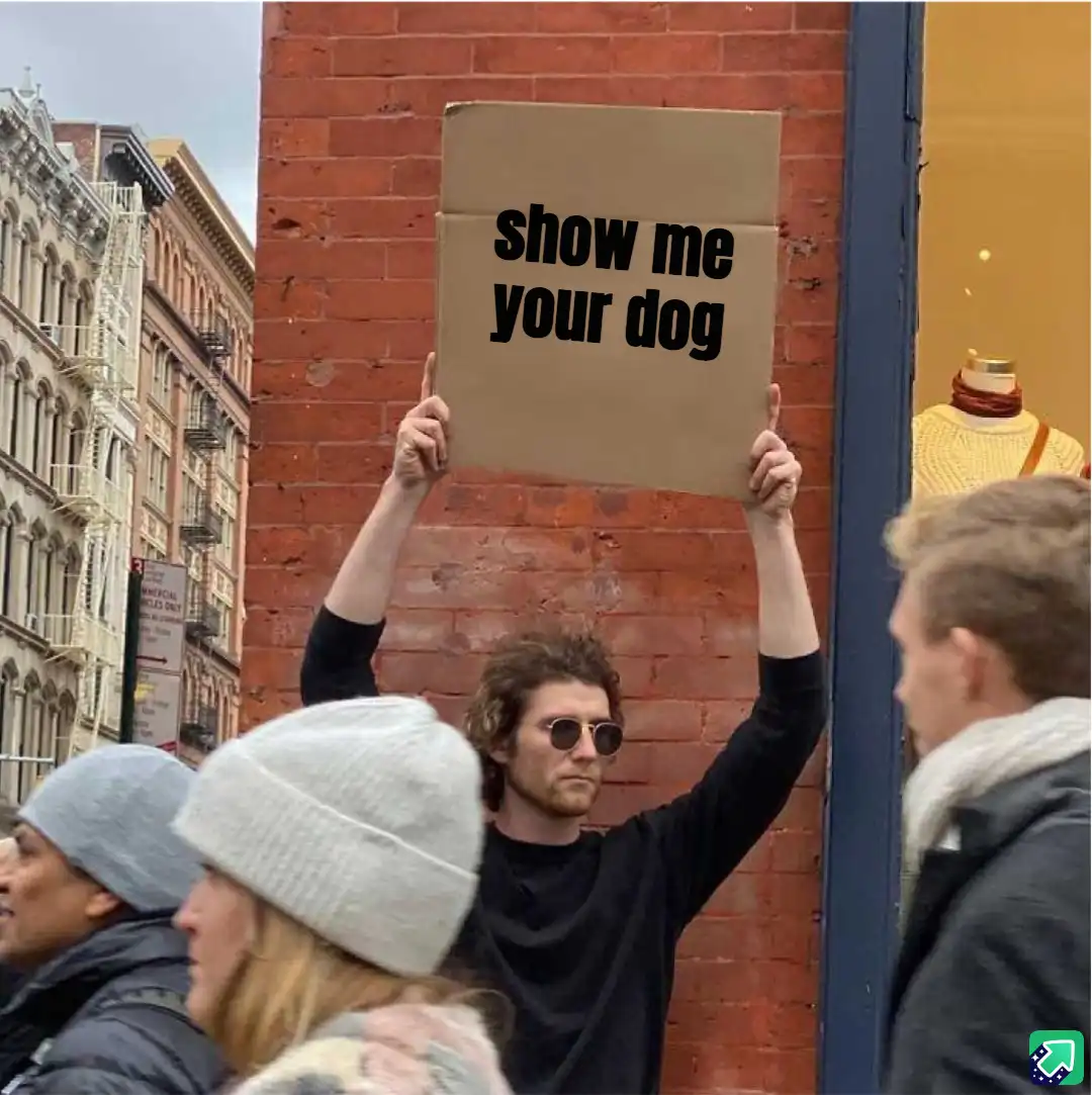 A man with curly hair and sunglasses holds up a cardboard sign that reads 'show me your dog' while standing on a city street…