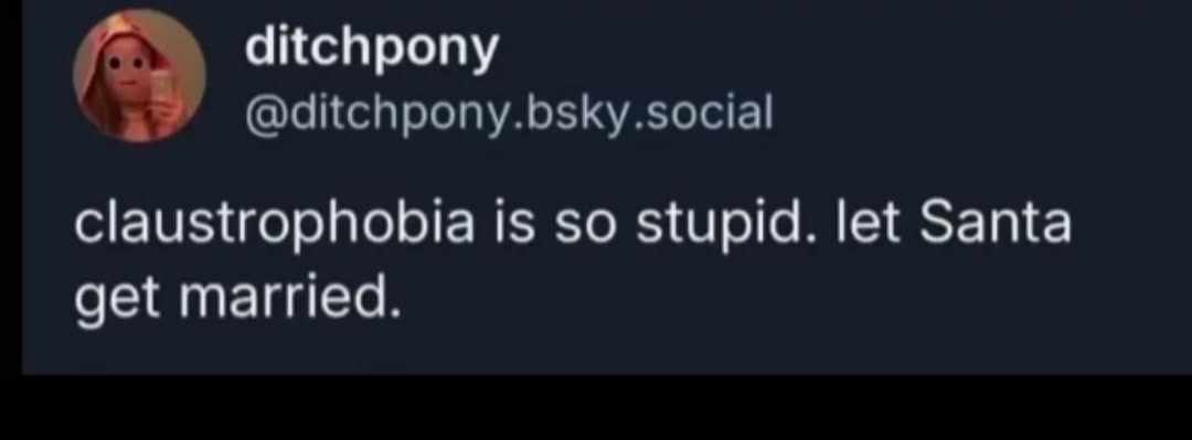 A screenshot of a social media post from user 'ditchpony' with handle '@ditchpony.bsky.social', featuring a circular profile…