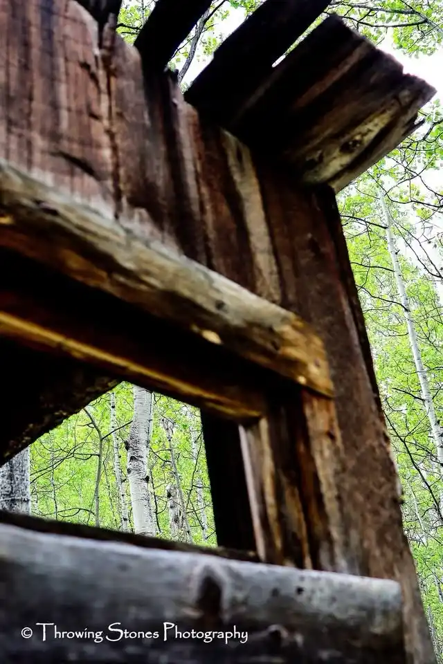 A low-angle photo shows a weathered wooden fence with a rectangular opening, looking out onto a green forest. The overlaid…