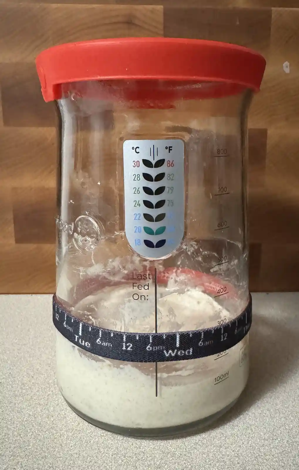 A clear glass jar with a red lid contains a sourdough starter, showing a temperature gauge with leaf icons and a measuring…