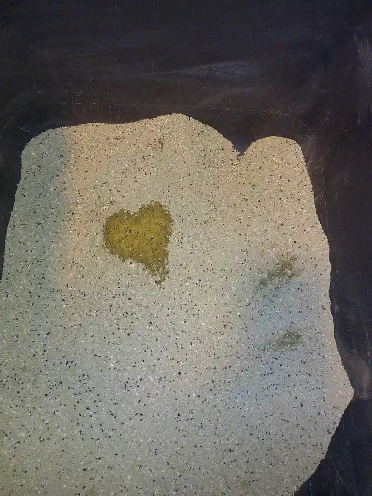 A close-up photo shows a pile of light-colored sand on a dark surface, with a distinct heart-shaped patch of darker…