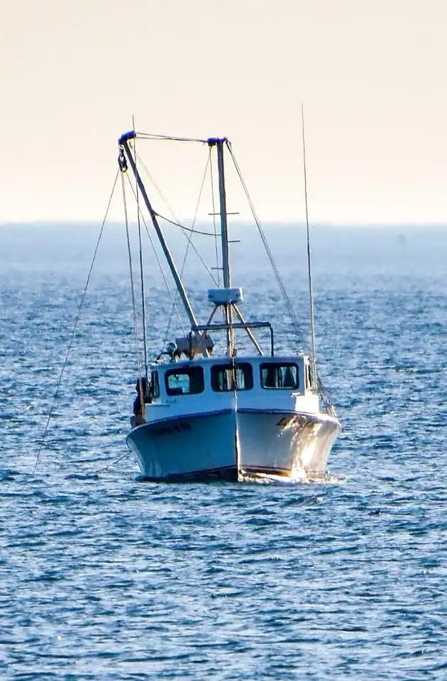 A white fishing boat with a blue stripe is shown floating on calm blue ocean waters under a pale sky. The boat has a cabin…