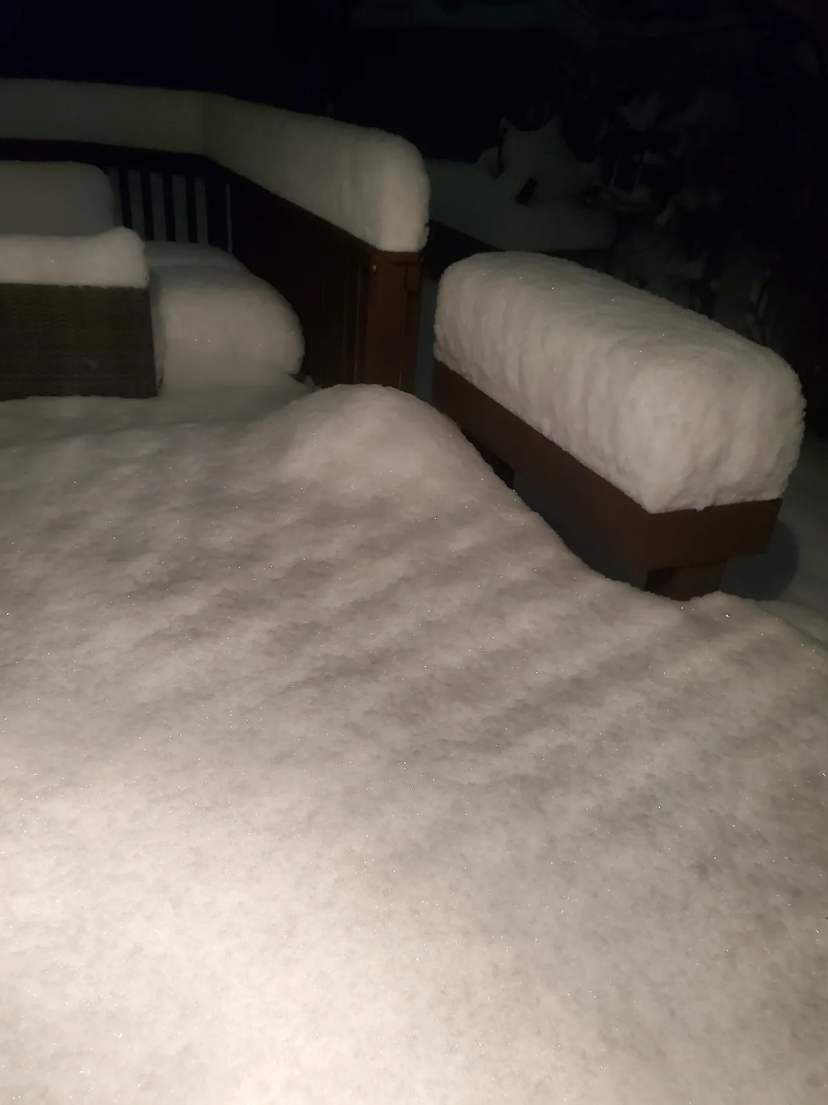 Winter Wonderland: The Beauty of Snow