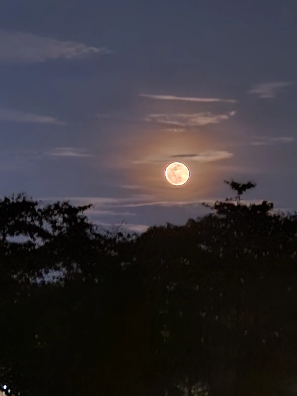 The Moon's Radiance After a Refreshing Rain