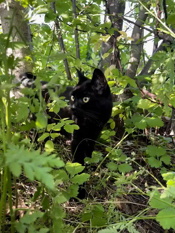 Today I said goodbye to my beloved friend.