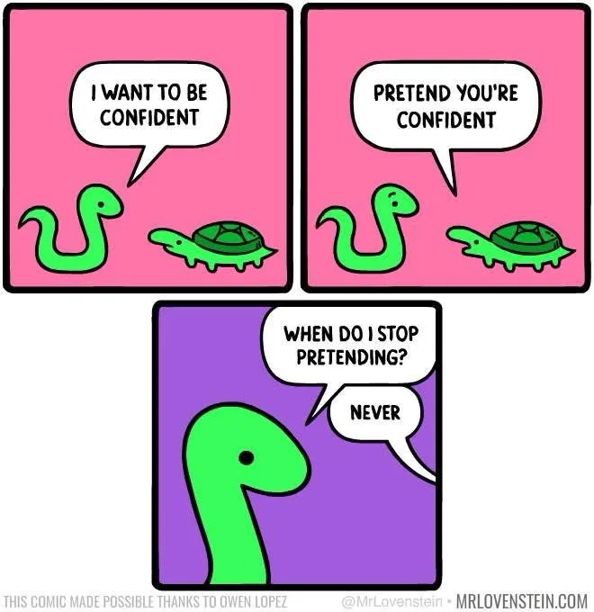 A three-panel comic shows a green snake and a green turtle. In the first panel, the snake says 'I WANT TO BE CONFIDENT'…