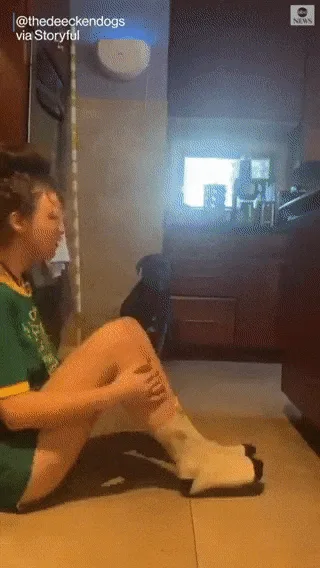 A person in a green shirt is lying on the floor in a kitchen, and a large black dog approaches them, sniffing and nudging…