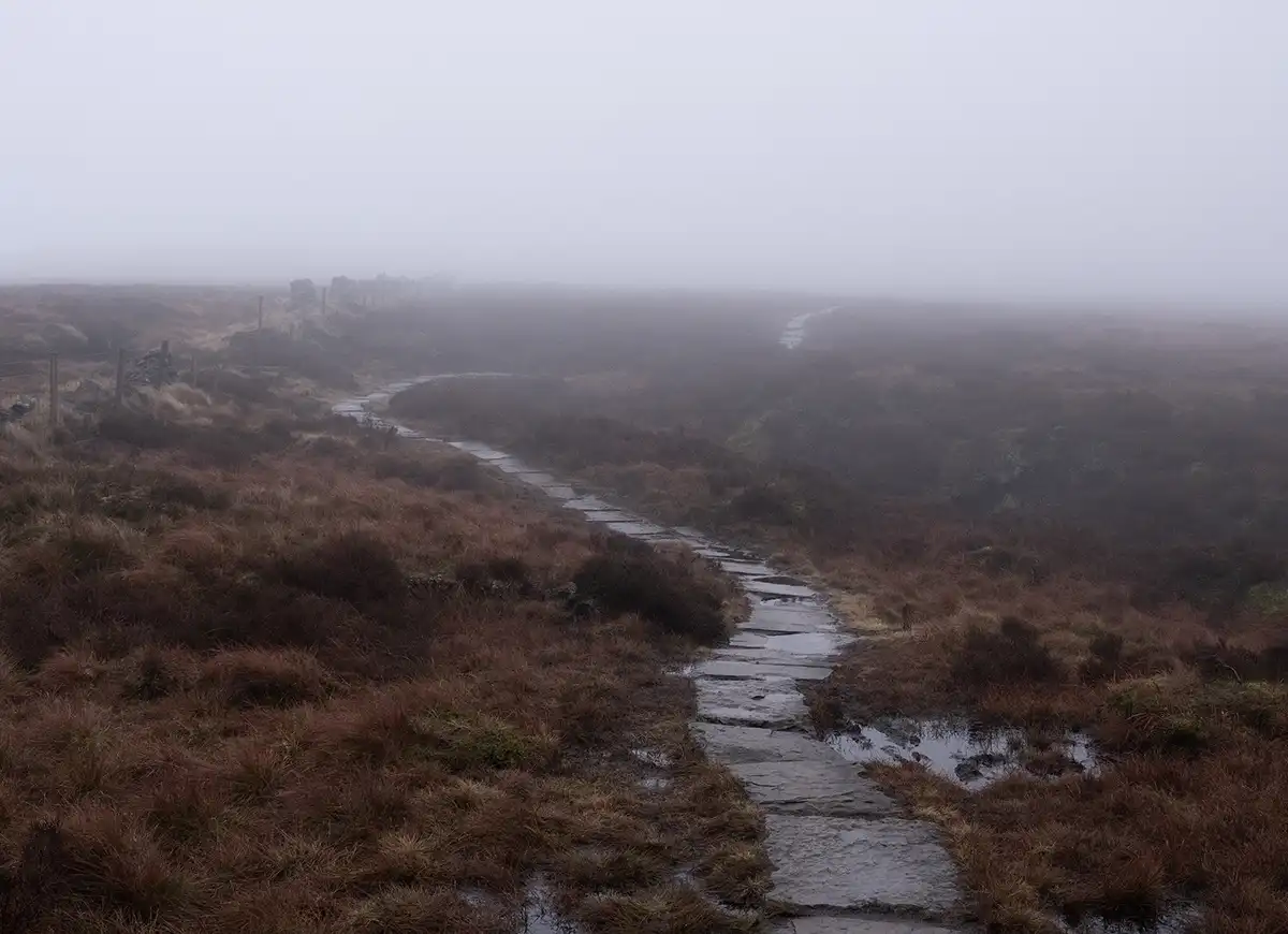 The well-trodden path ahead