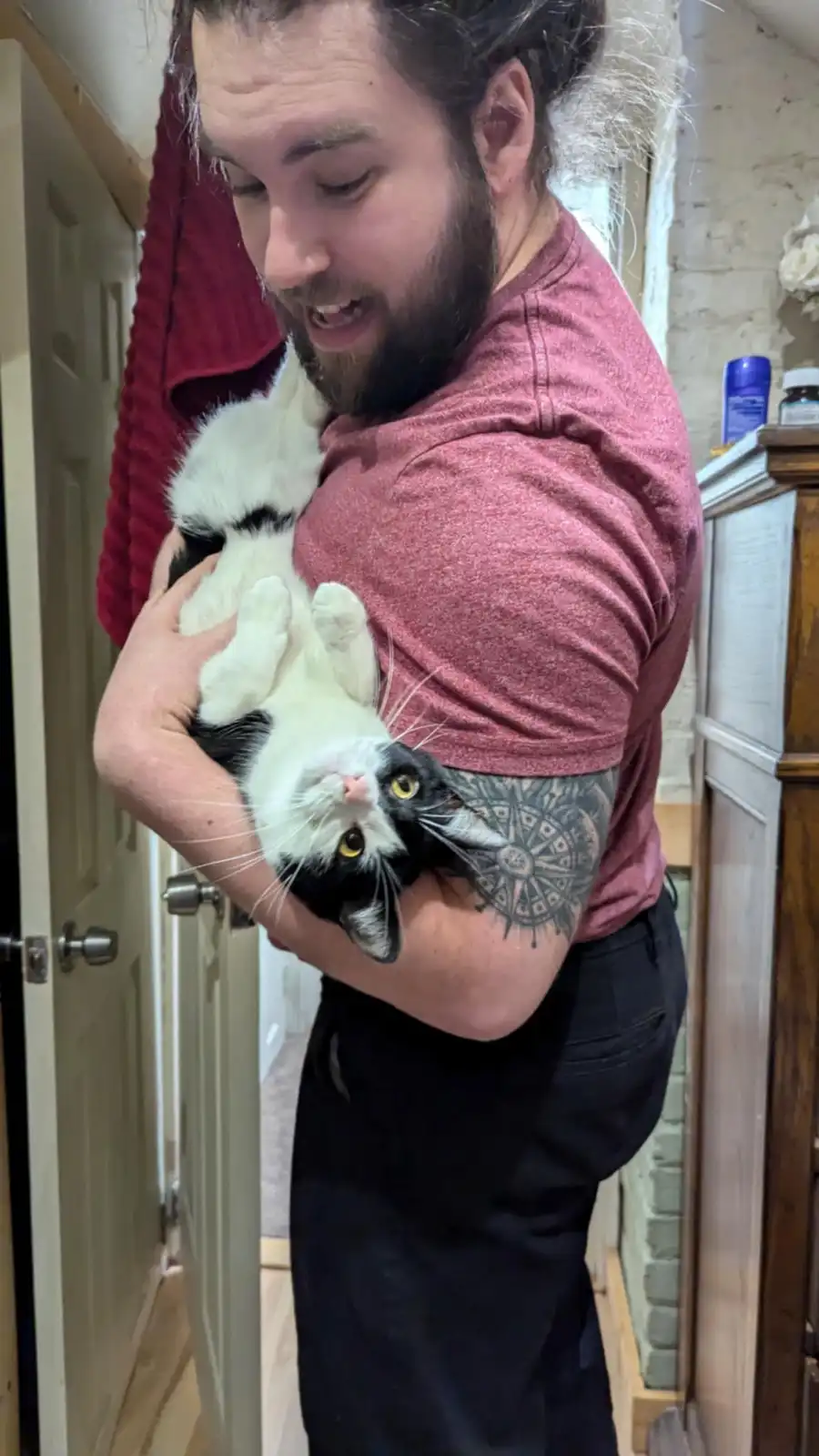 A bearded man in a red shirt holds a black-and-white cat upside down, cradling it with a surprised or amused expression. The…