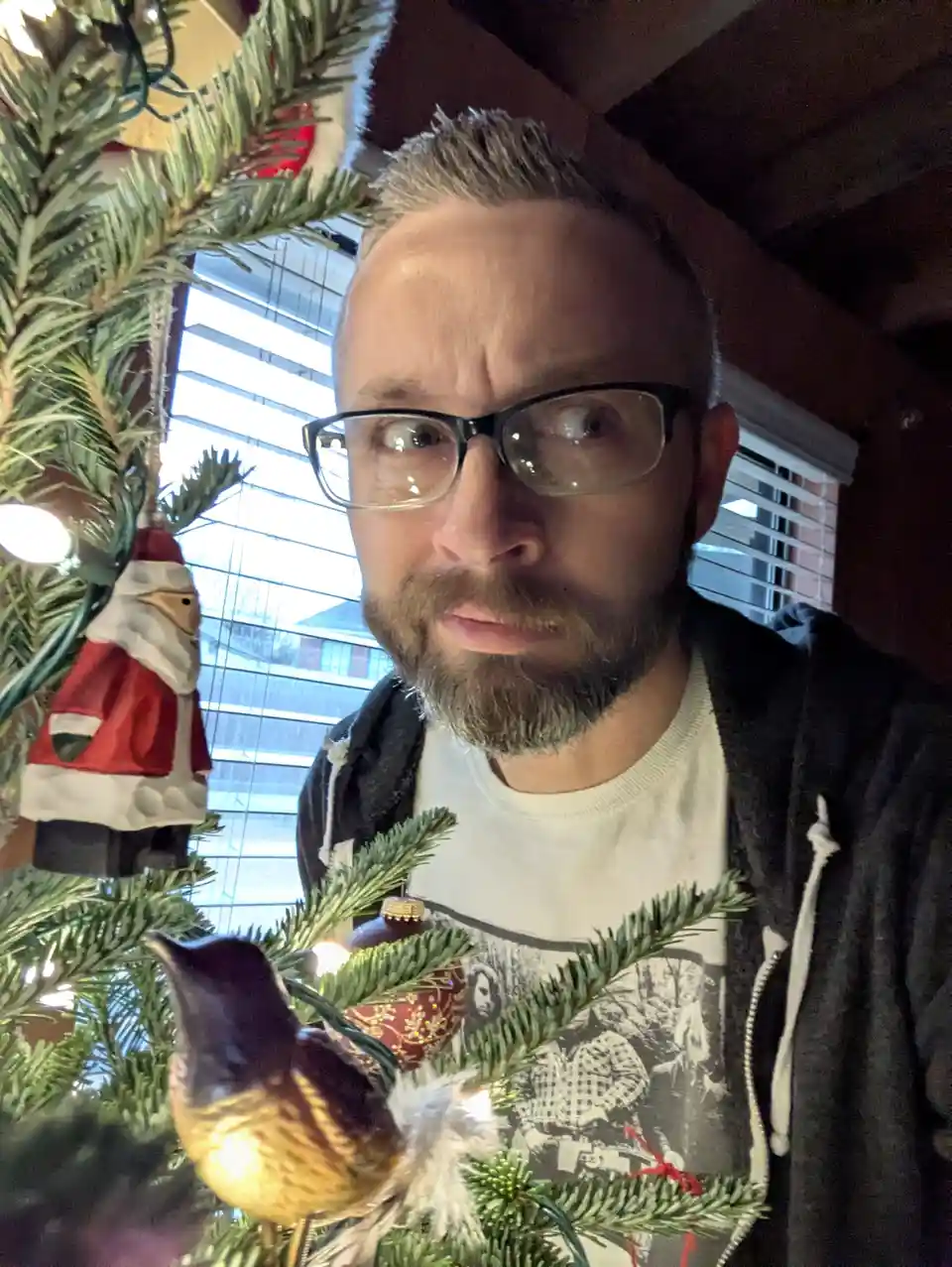 A man with glasses and a beard stands behind a decorated christmas tree, looking directly at the camera with a skeptical…