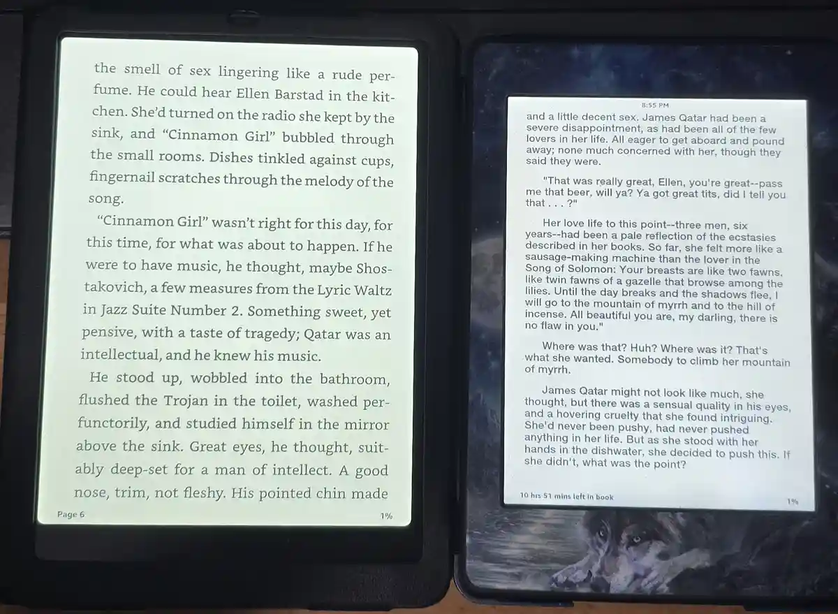 The image shows two open e-readers displaying text from a novel. The left screen shows a passage about a character named…