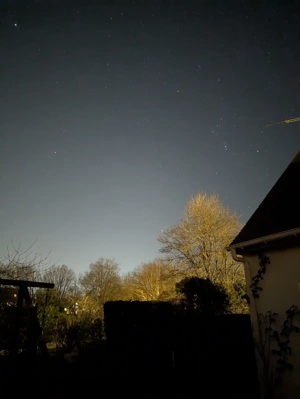 A night sky filled with stars above a backyard scene featuring bare trees, a house roof, and a hedge, with the overlaid text…