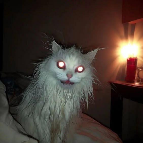 A white, shaggy cat with glowing red eyes sits on a bed in a dimly lit room, its fur matted and mouth slightly open. A lit…
