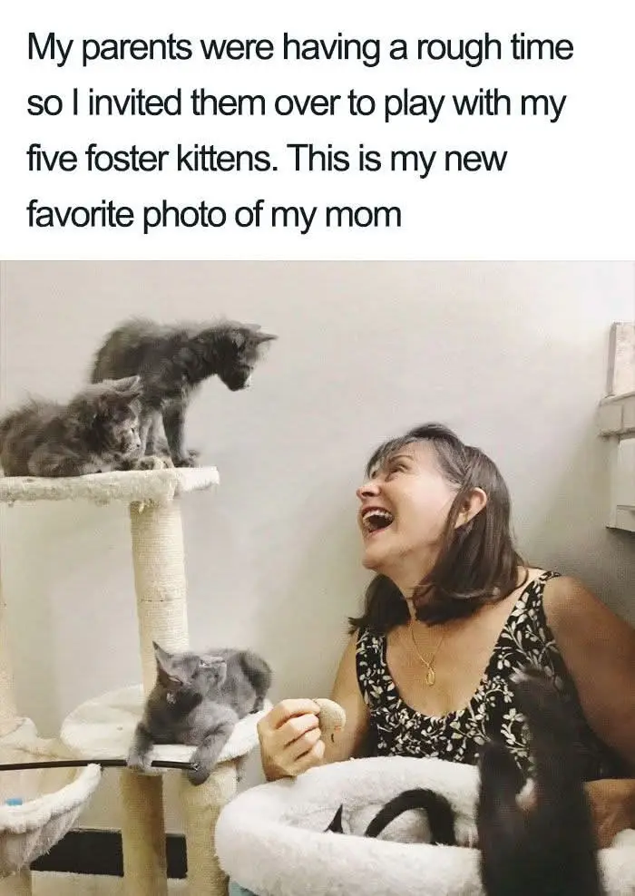 A woman with dark hair and a floral top laughs joyfully while holding a treat, surrounded by several gray kittens on and…