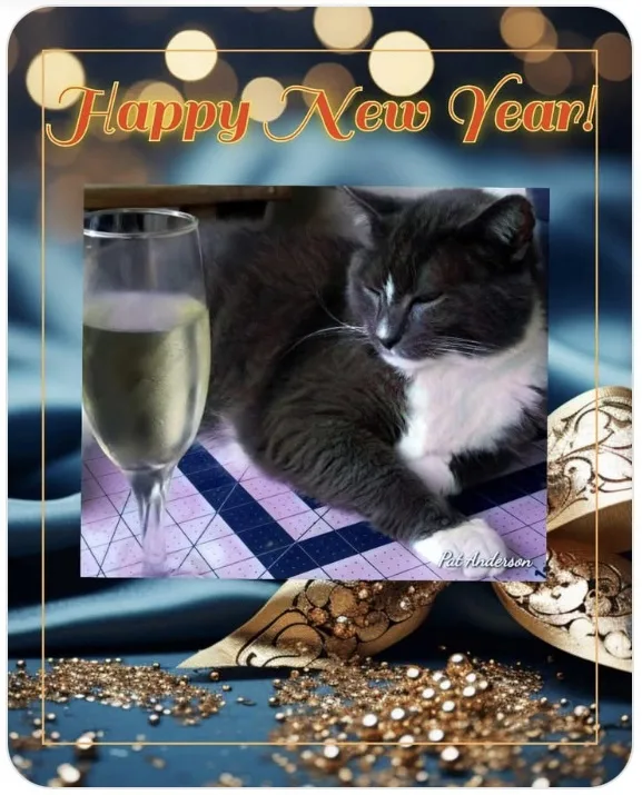 A festive New Year's Eve image features a black and white cat sleeping peacefully next to a glass of champagne on a…