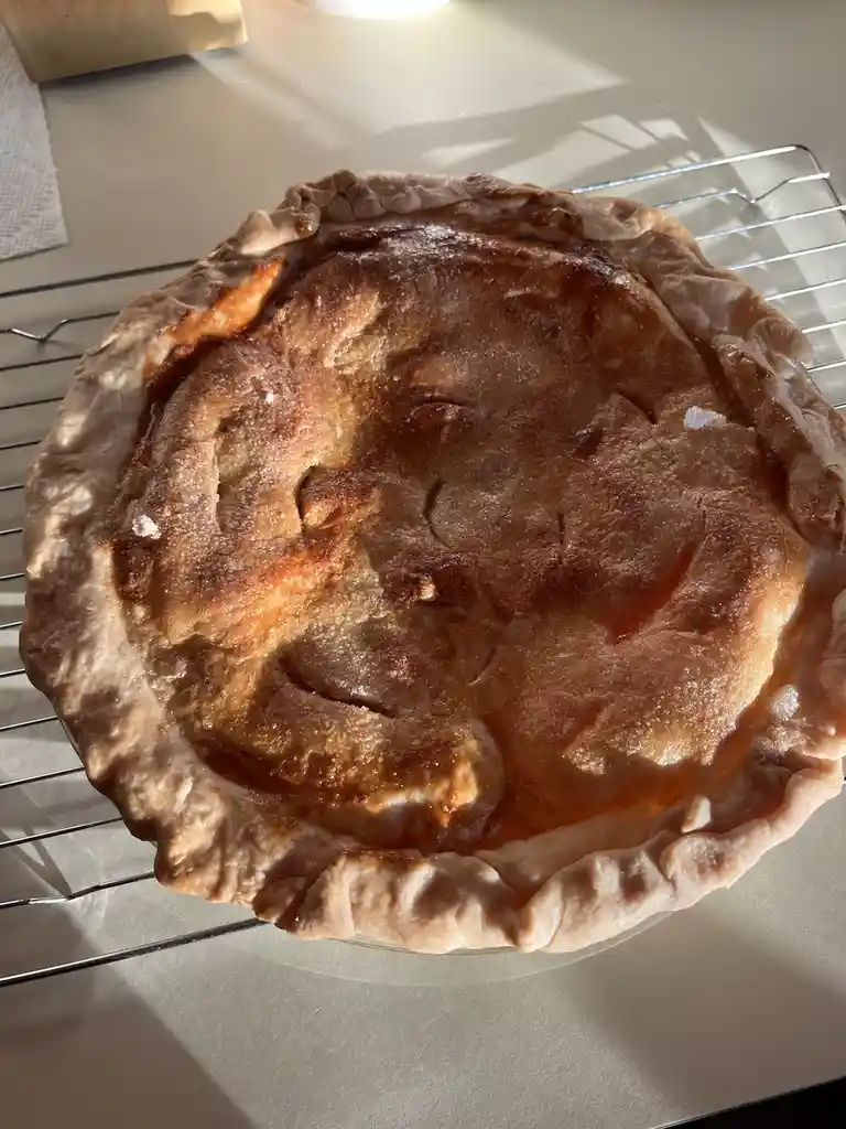 A freshly baked pie with a golden-brown crust sits on a metal cooling rack, its surface showing natural imperfections that…