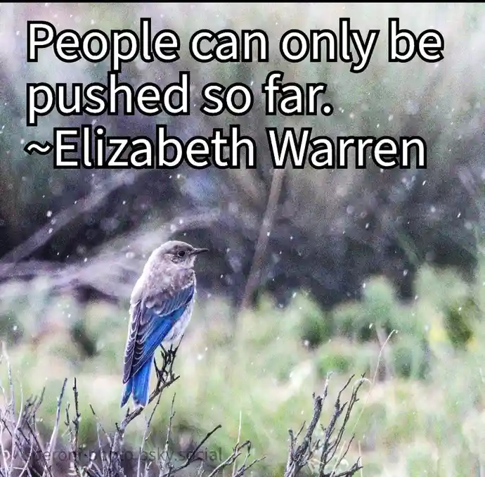A small bird with blue wings perched on a twig in a blurry natural background with falling snow or rain. Overlaid white text…