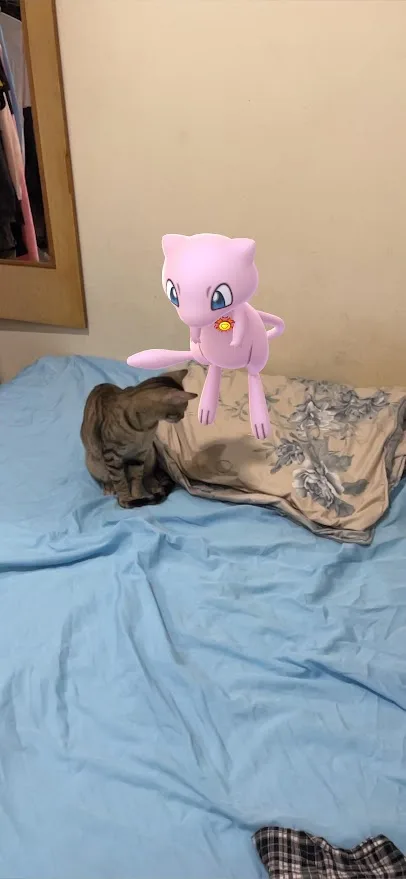 A brown tabby cat sits on a blue bedsheet, looking up at a pink, floating Mewtwo Pokémon character that appears to be…