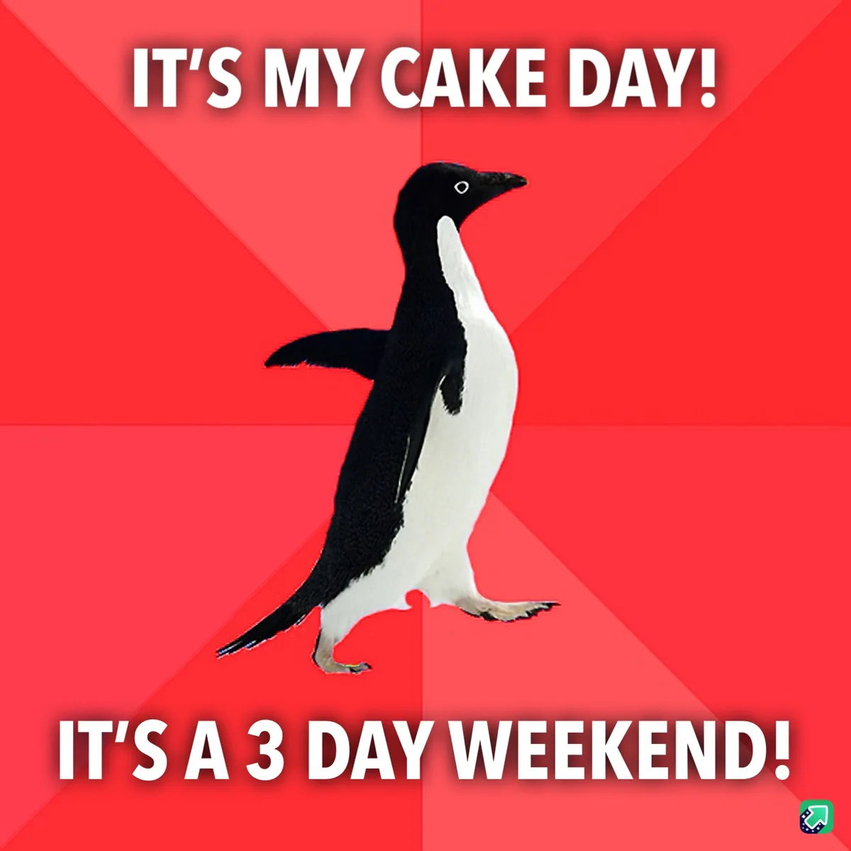 A black-and-white penguin stands against a red background with diagonal stripes. White bold text at the top reads 'IT'S MY…