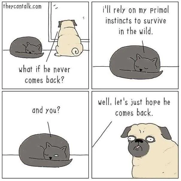 A four-panel comic strip featuring a sleeping cat and a pug. The cat worries about a person not returning and claims to rely…