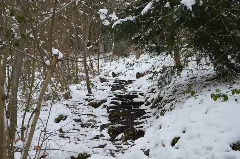 A snowy forest path with stone steps partially covered in snow, surrounded by bare trees and evergreens. Overlaid text reads…