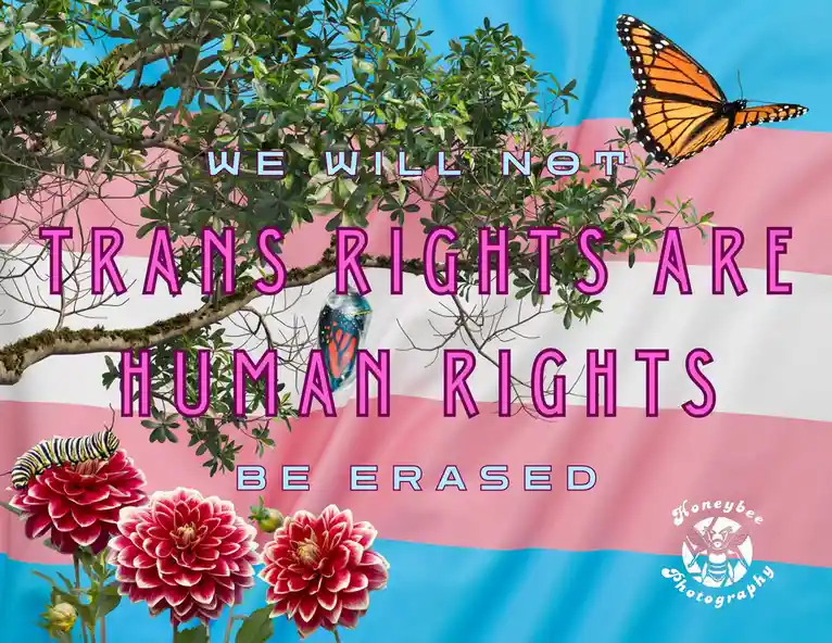 An image features a tree branch with green leaves, a monarch butterfly, and red dahlias against a background of the trans…