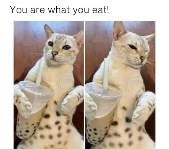 A split-image meme shows a spotted cat holding a bubble tea cup with a straw in both panels. In the left panel, the cat…