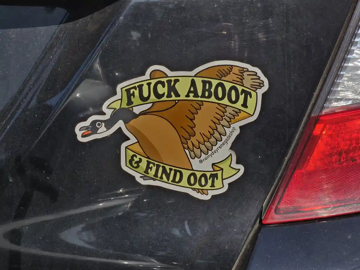 A sticker of a cartoon goose with outstretched wings is affixed to the rear of a black car, near the taillight. The goose…