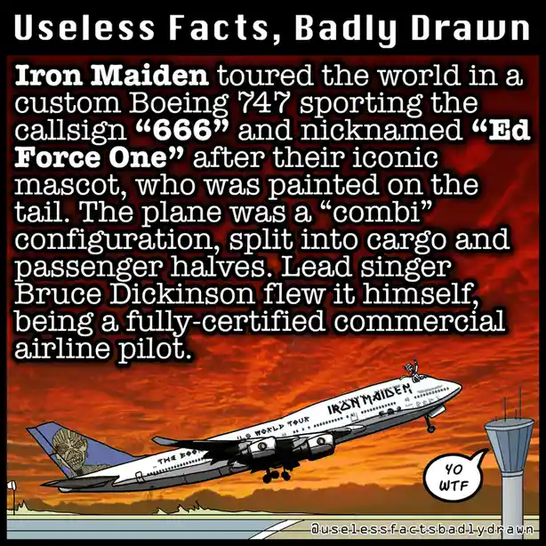 A cartoon drawing of a Boeing 747 airplane with 'IRON MAIDEN' and 'THE BOOK OF SOULS WORLD TOUR' written on its side…