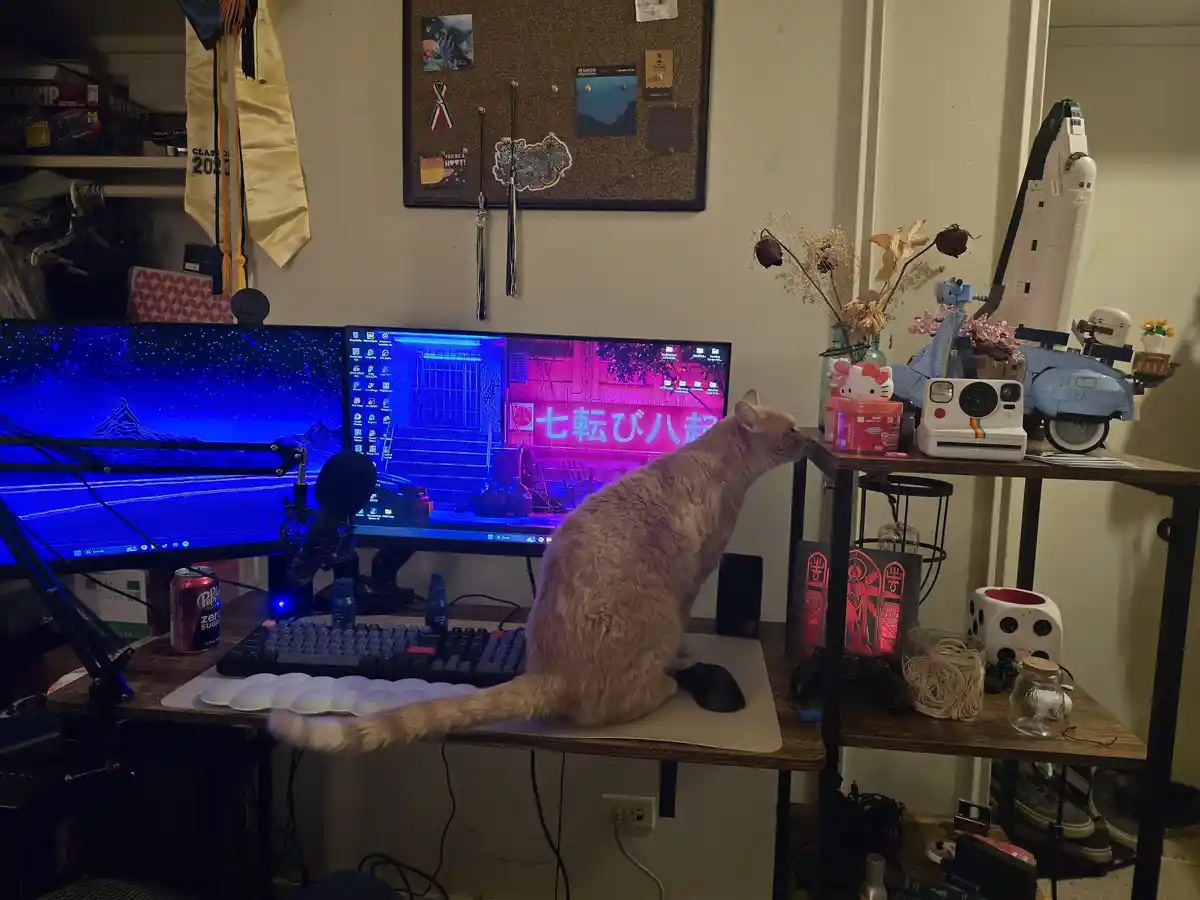 A light-colored cat sits on a desk in front of two computer monitors, looking intently at a pink neon sign on the right…