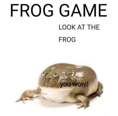 A large, plump, brownish-green frog with a white underbelly is centered against a plain white background. Bold black text at…
