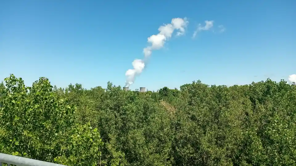 A photograph shows two industrial smokestacks rising above a dense green treeline under a clear blue sky. A plume of white…