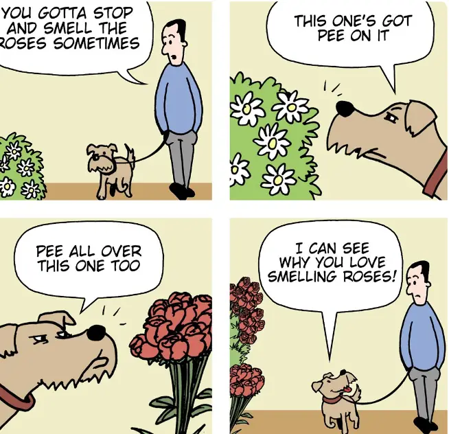A four-panel comic strip shows a man walking his dog. The man tells the dog to smell the roses. The dog sniffs a bush of…