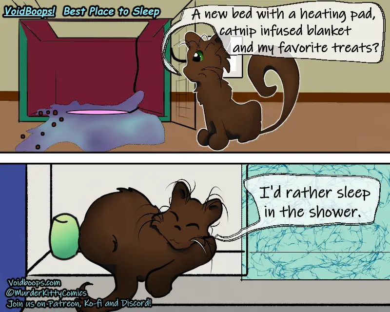 A two-panel comic shows a brown cartoon cat. In the top panel, the cat sits by an open doorway looking at a new bed with a…