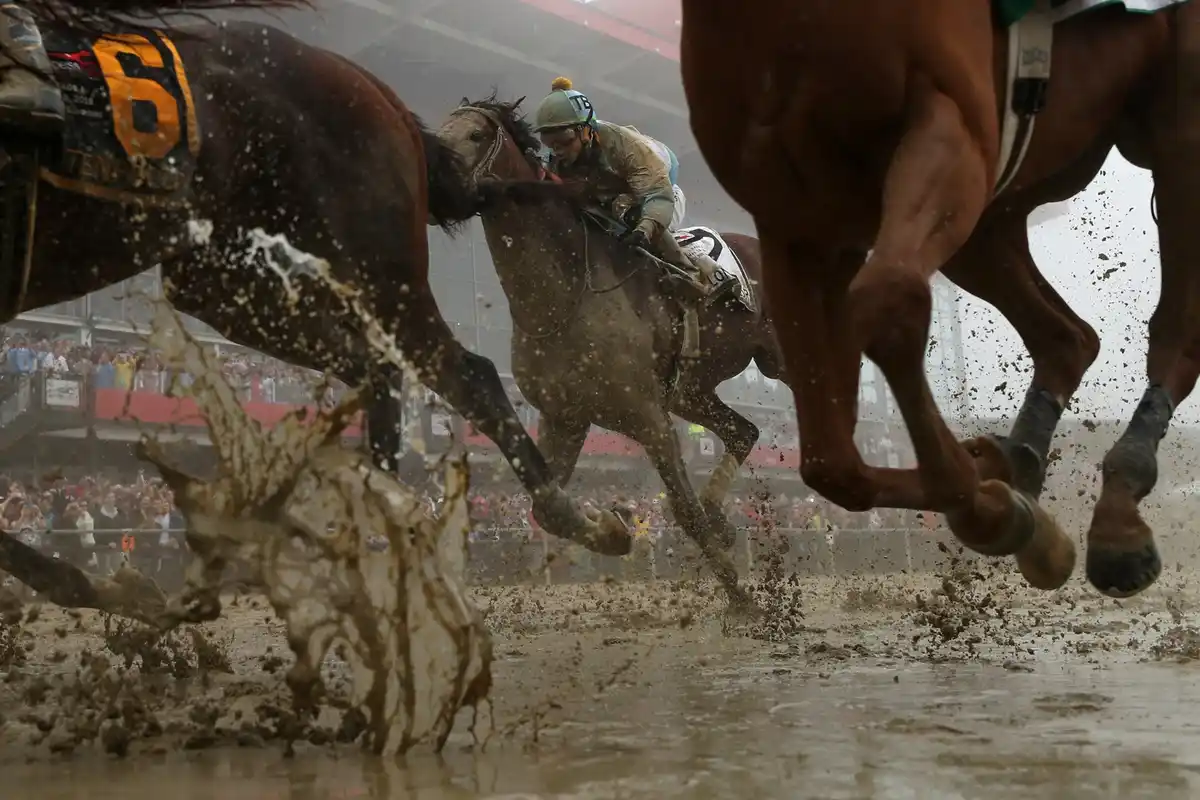 A dynamic, low-angle shot captures three racehorses galloping at high speed through a muddy, waterlogged track, kicking up…