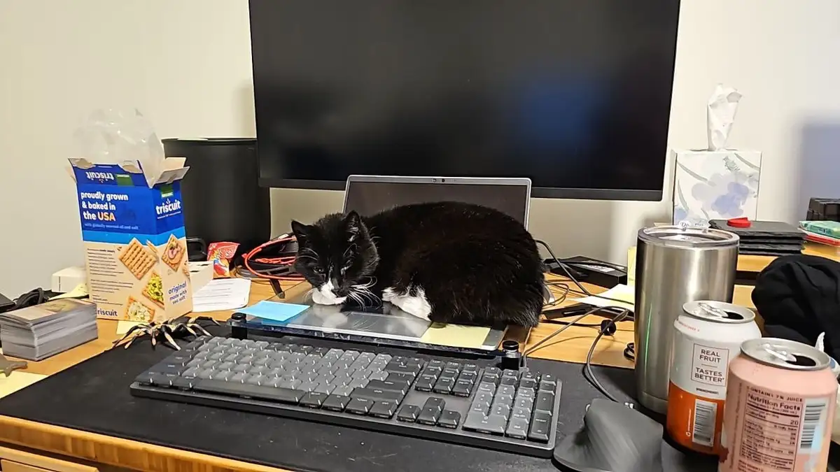 A black and white cat is curled up and sleeping on a laptop keyboard on a cluttered desk. The desk has a large monitor, a…