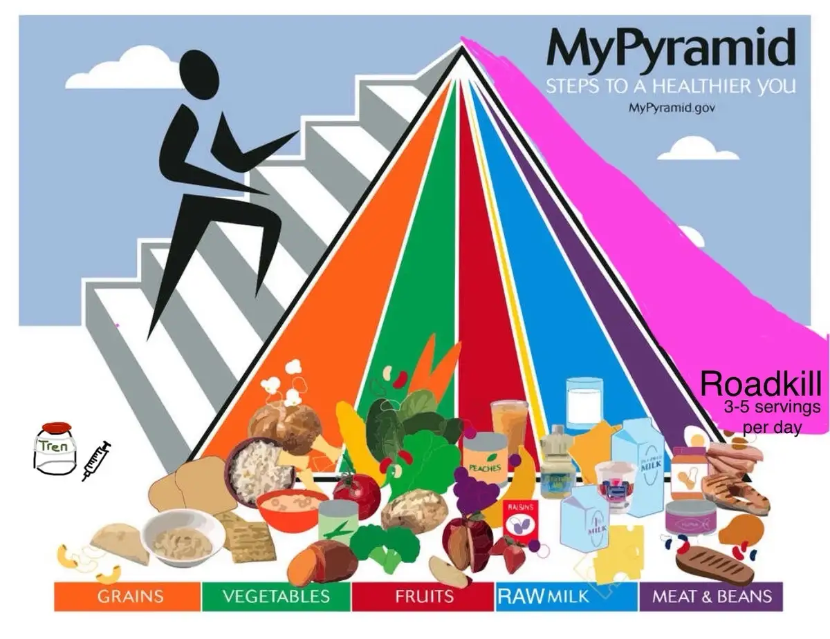 An altered version of the MyPyramid food guide poster, where the top pink section labeled 'Meat & Beans' has been humorously…