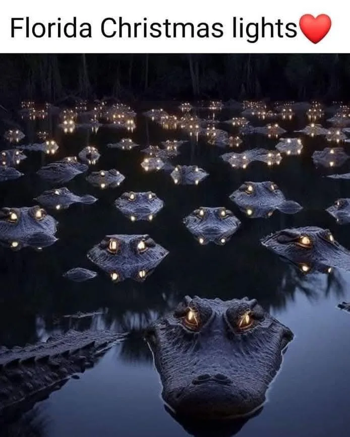 A dark swamp scene at night where numerous alligators float on the water surface, their eyes glowing like Christmas lights…
