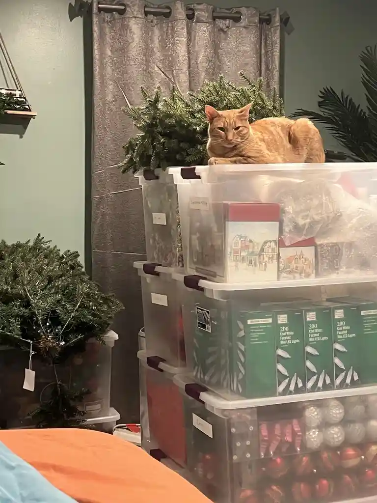 Meet My Christmas Helper: The Ultimate Holiday Sidekick
