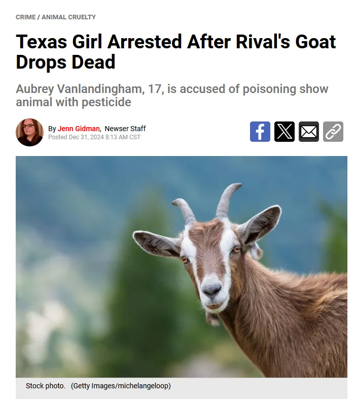 Vanlandingham: The Ultimate Teen Girl Villain Name
