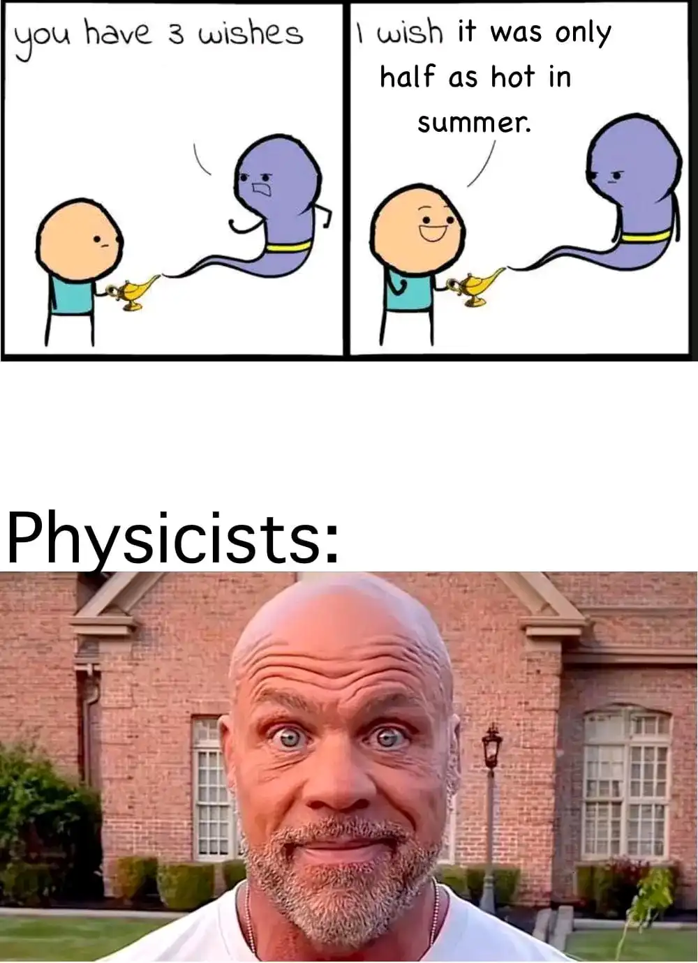 The top panel shows a cartoon man holding a genie lamp, with a purple genie saying 'you have 3 wishes', then the man smiling…