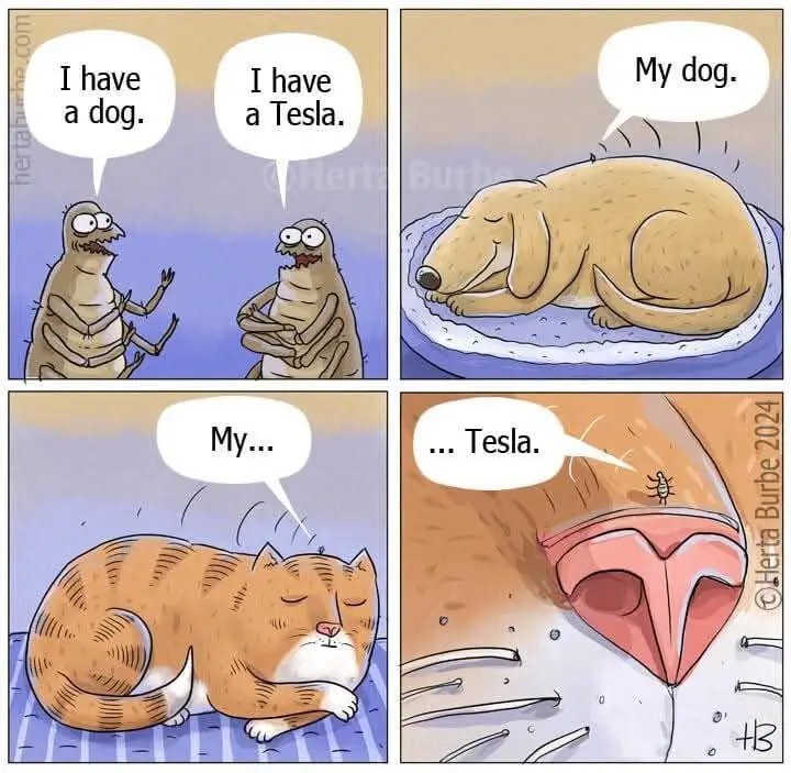 A four-panel comic shows two sloths talking about owning a dog and a Tesla. The next panel reveals a sleeping dog. The final…