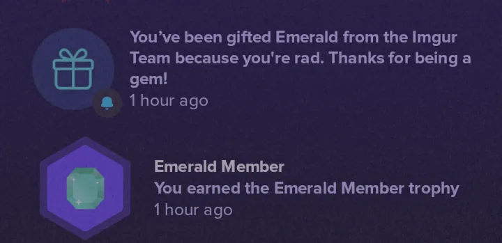 A Huge Thank You to Imgur!